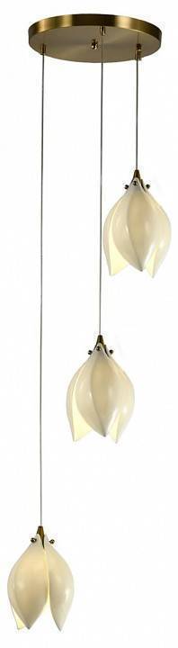 Светильник подвесной Zortes DALIN ZRS.90609.03