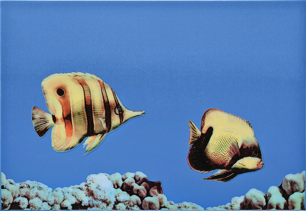 Декор Atem Mono Fish 3 275х400 мм 13689134
