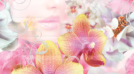 Декор Ceradim Vision Panno B 25x45 см КПН16VisionB