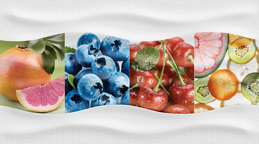 Декор Ceradim Puzzle 2 25х45 см КВС16Puzzle2