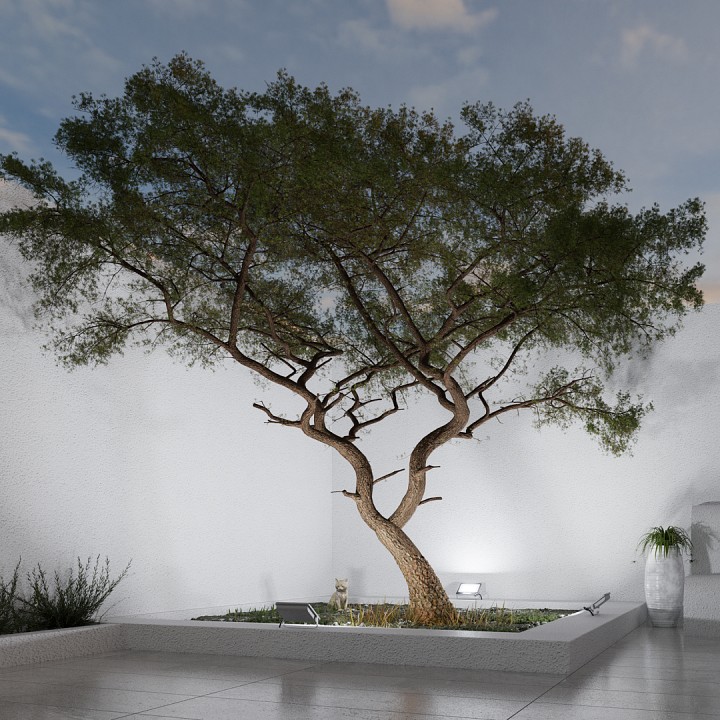 Настенно-потолочный прожектор Apeyron Electrics  05-51