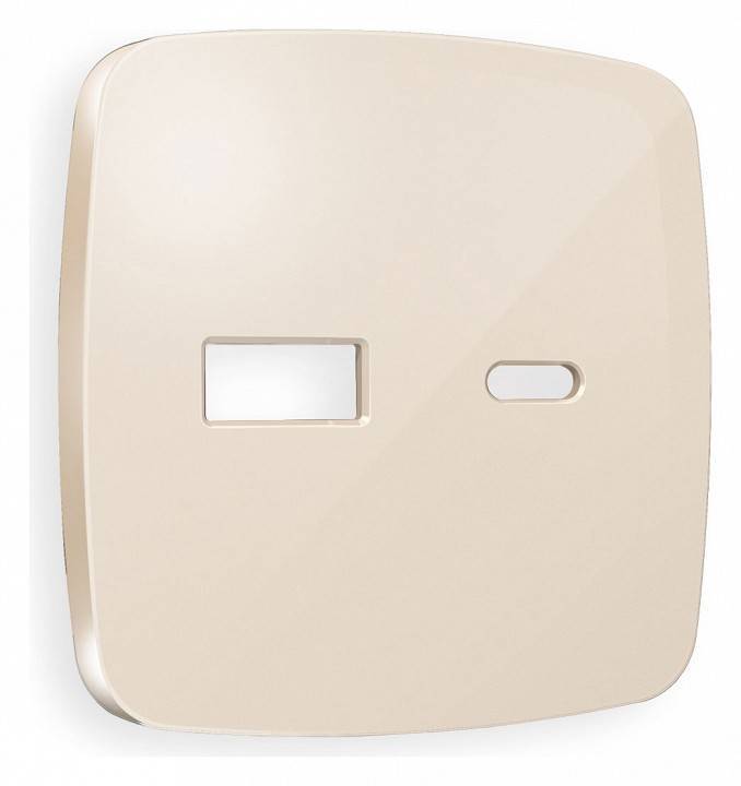 Накладка для розетки type A и C Ambrella Volt Quant OP3110