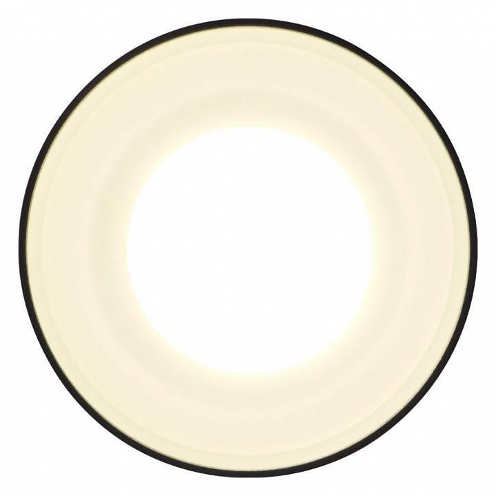 Накладной светильник Ambrella Light TN TN3204