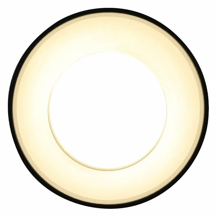 Накладной светильник Ambrella Light TN TN3412