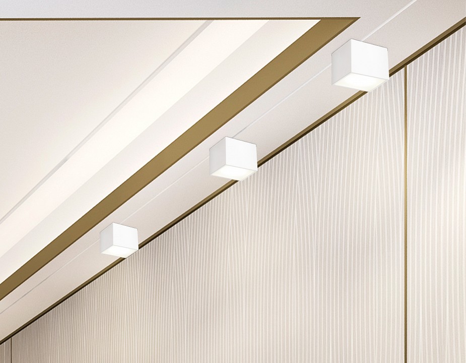 Накладной светильник Ambrella Light TN TN6530