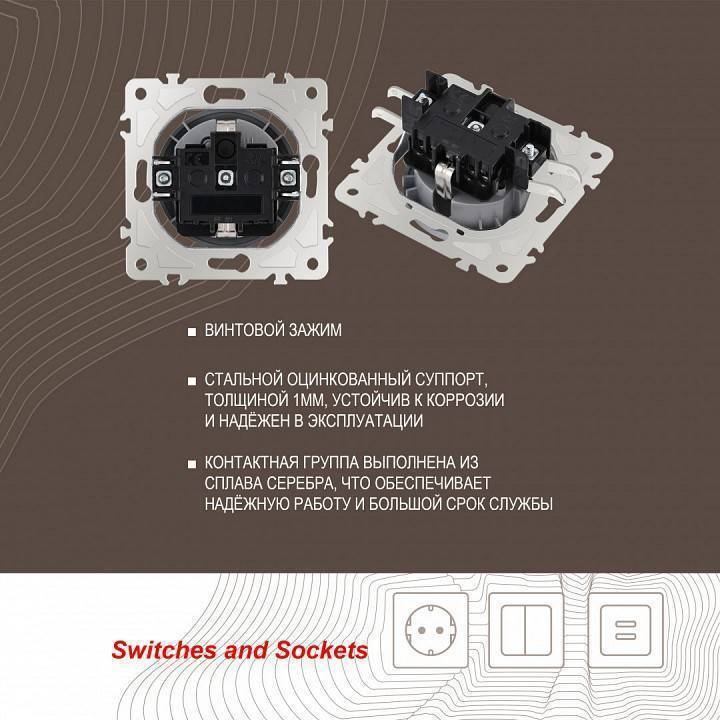 Розетка с заземлением и со шторкой, без рамки Arte Milano am-202 202.40-1.silver