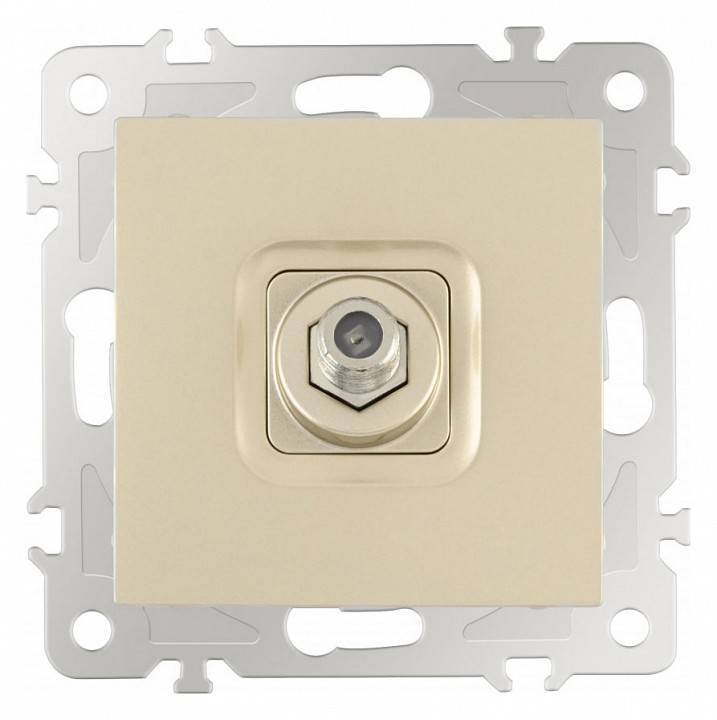 ТВ-розетка без рамки Arte Milano am-206 206.42-1.shampan