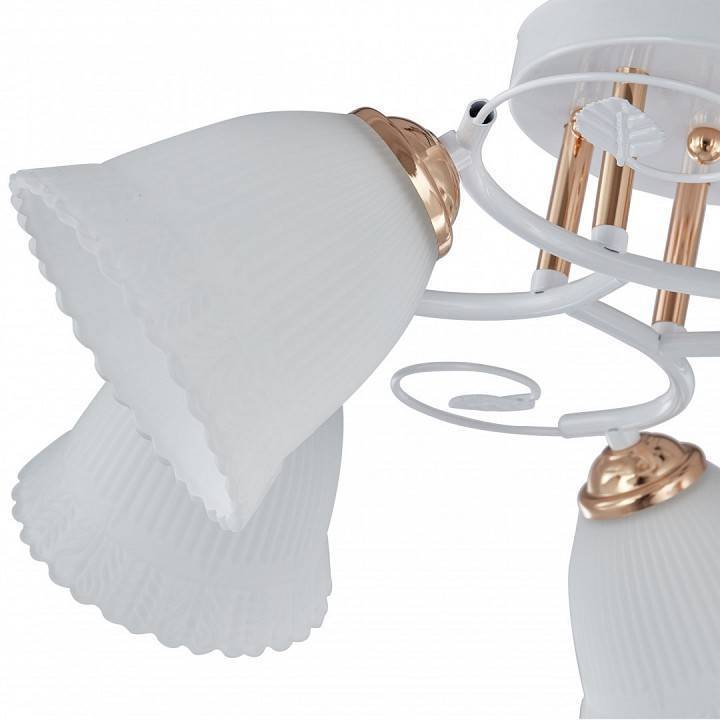 Потолочная люстра Arte Milano AMALFI 5 ламп 325395/5A WH+FG