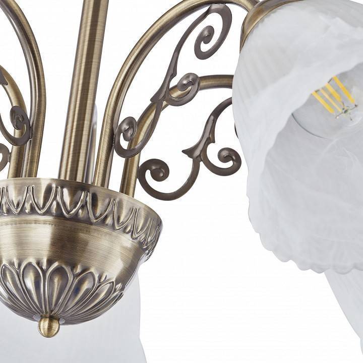 Подвесная люстра Arte Milano Amalfi-8544 5 ламп 338544/5 AB