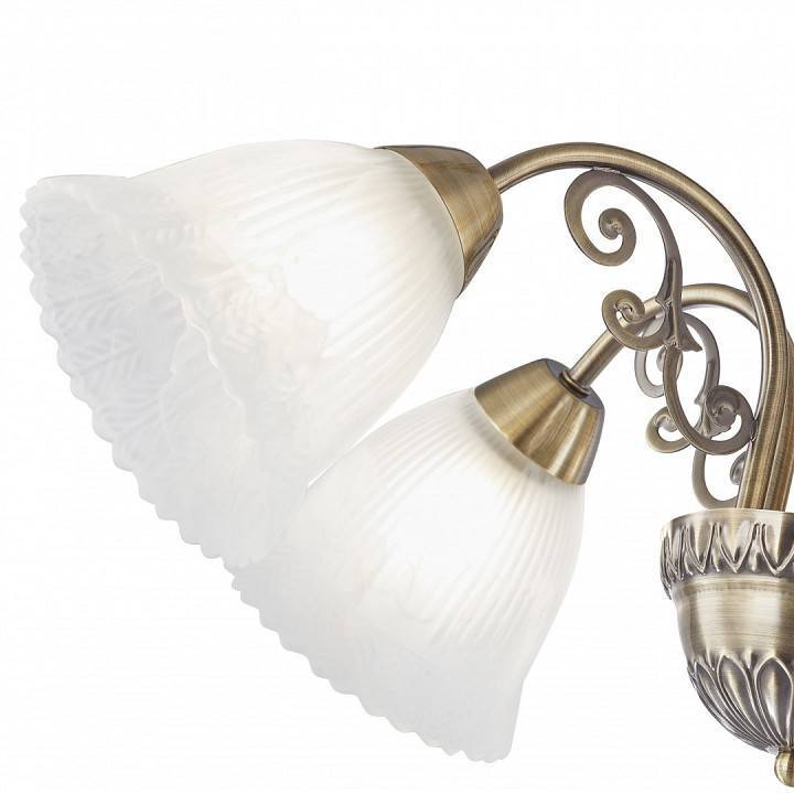 Подвесная люстра Arte Milano Amalfi-8544 5 ламп 338544/5 AB