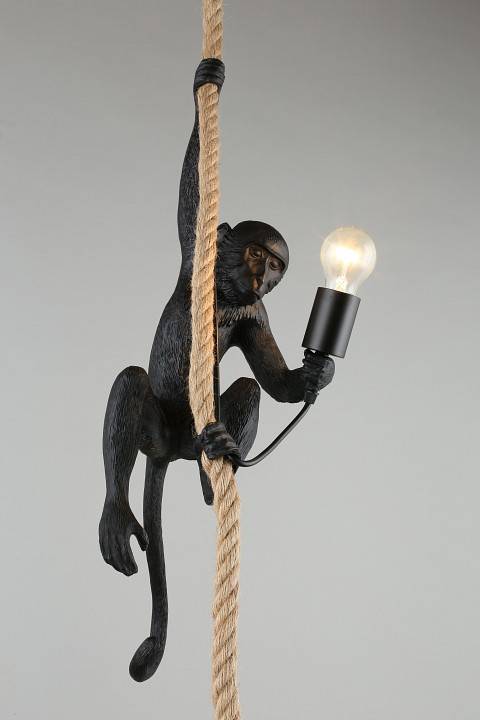 Подвесной светильник Aployt Magali APL.309.16.01