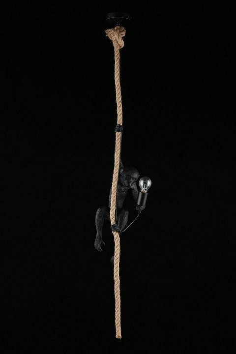 Подвесной светильник Aployt Magali APL.309.16.01