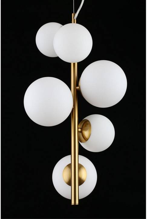 Подвесная люстра Aployt Letizia APL.314.06.06