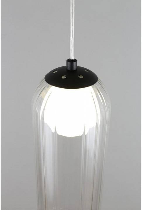 Подвесной светильник Aployt Arian APL.325.16.01