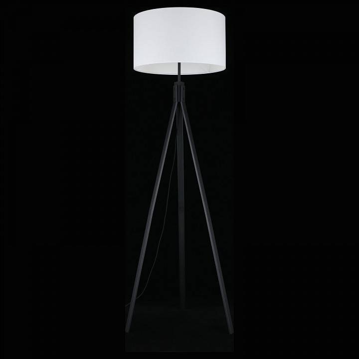 Торшер Aployt Donatin APL.636.05.01