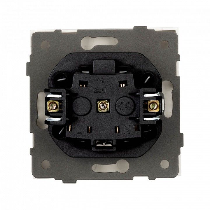 Розетка с заземлением, без рамки Arlight SCT-TENDO 054639