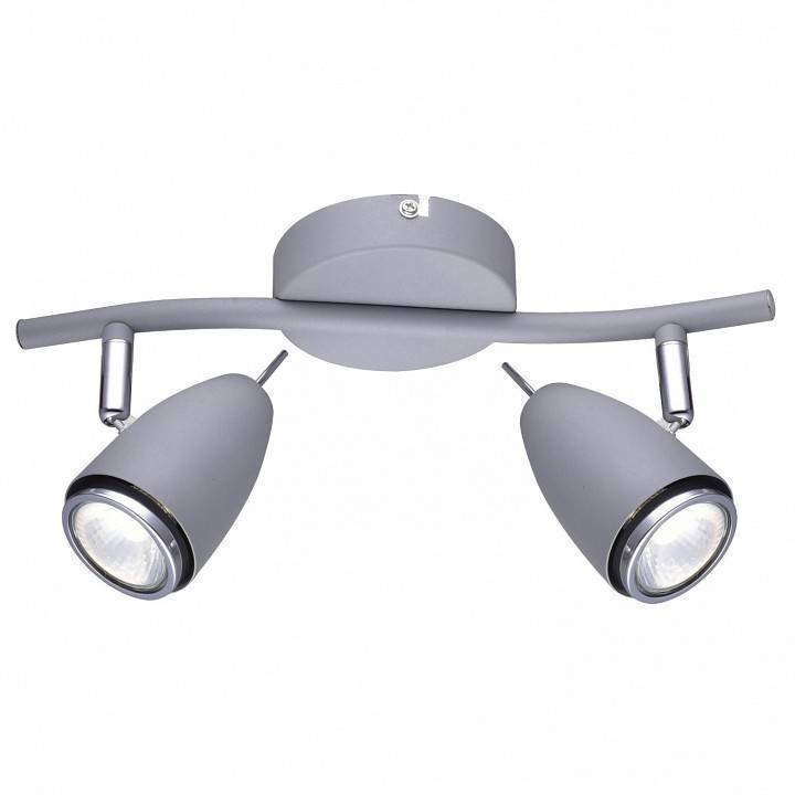 Спот Arte Lamp Regista 2 лампы серый A1966AP-2GY