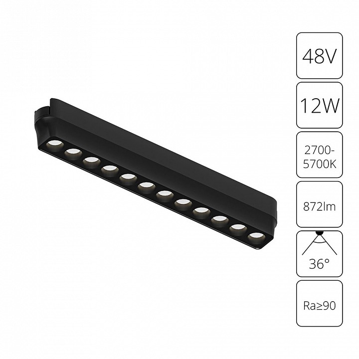 Накладной светильник Arte Lamp Rapid A2954PL-1BK