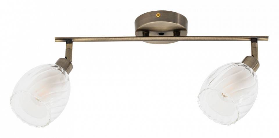 Спот Arte Lamp Biham 2 лампы античная бронза A3184PL-2AB