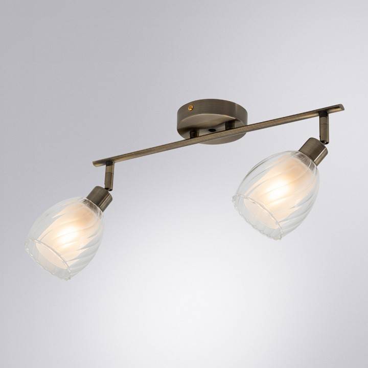 Спот Arte Lamp Biham 2 лампы античная бронза A3184PL-2AB