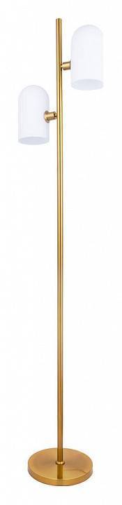 Торшер Arte Lamp Cassel A5454PN-2PB