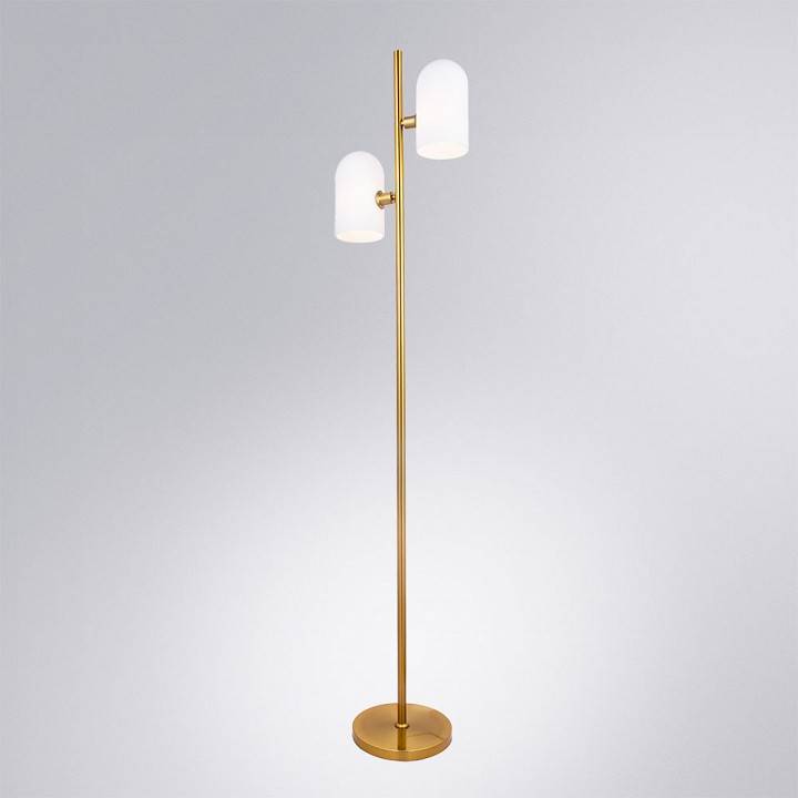 Торшер Arte Lamp Cassel A5454PN-2PB