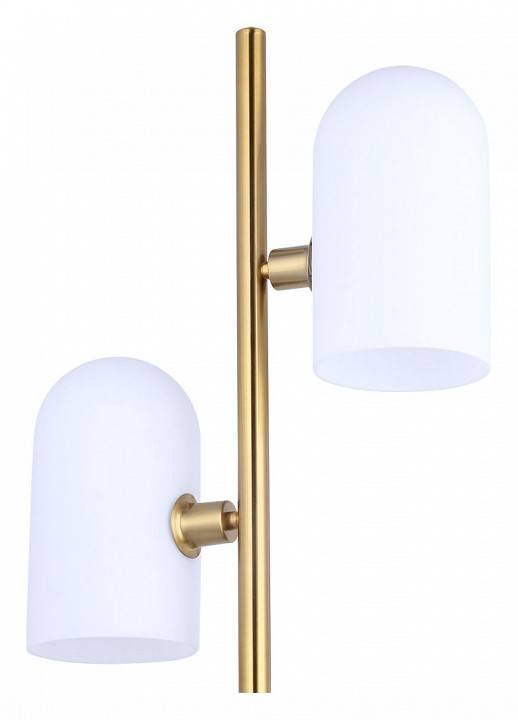 Торшер Arte Lamp Cassel A5454PN-2PB