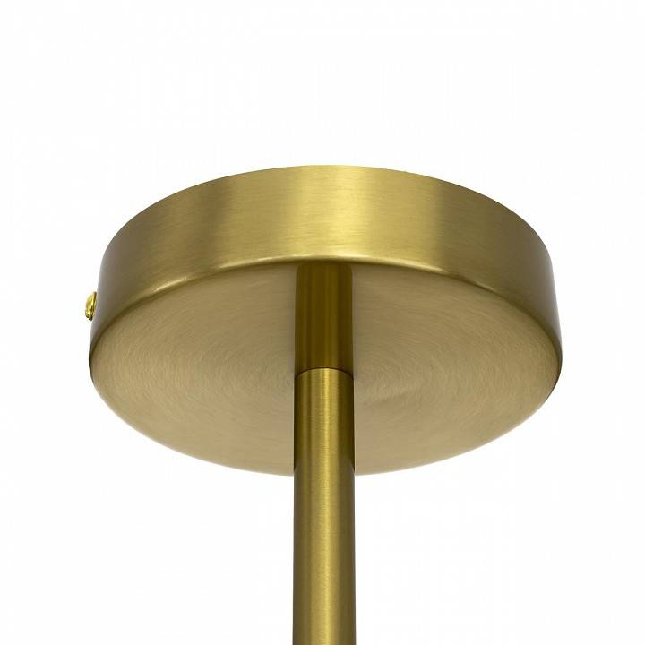 Люстра на штанге Citilux Ronny CL242133