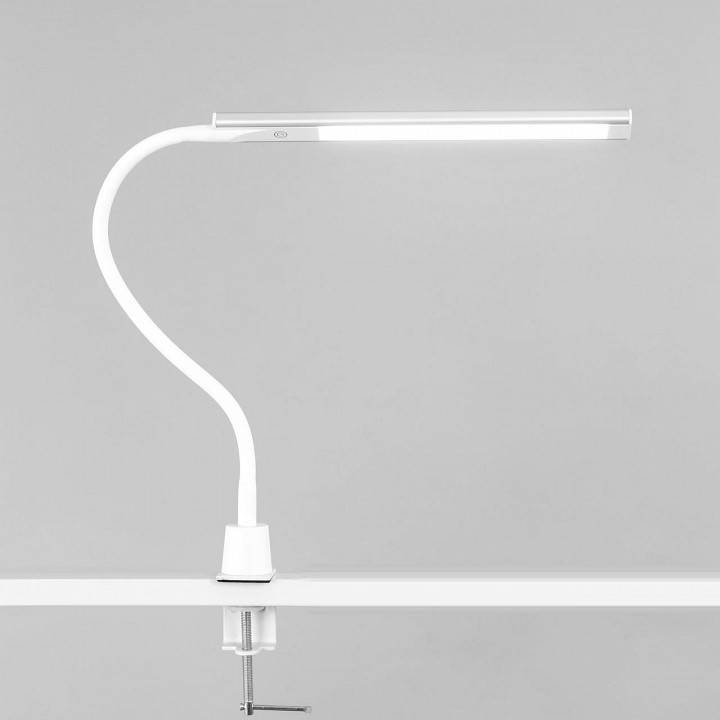 Настольная лампа офисная Citilux Рио CL803090N