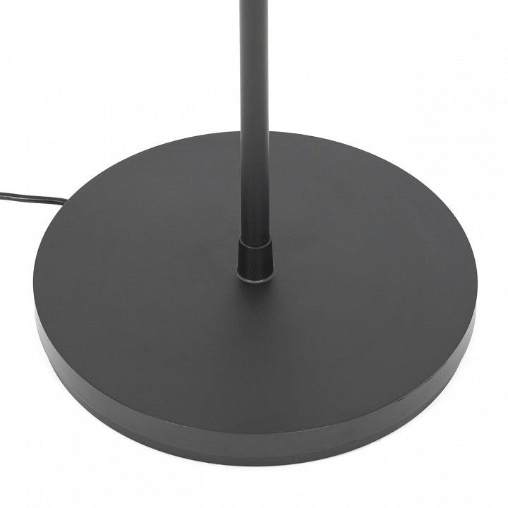 Торшер Citilux LOONG CL810031