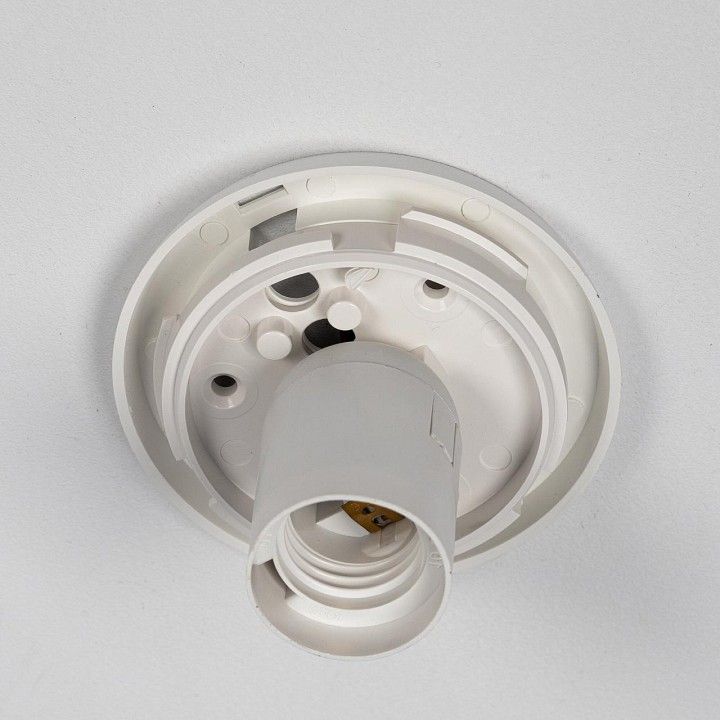 Накладной светильник Citilux RON CL941D20B0