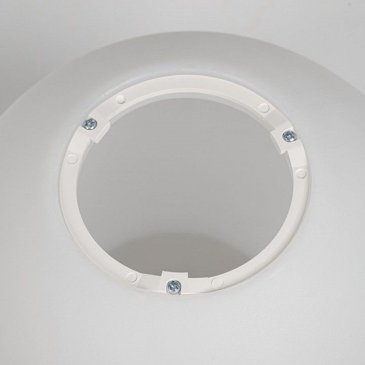 Накладной светильник Citilux RON CL941D20B1