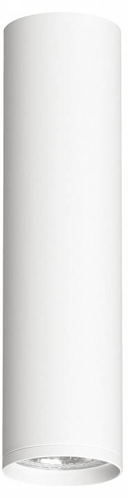 Накладной светильник Denkirs Tube DK2052-WH