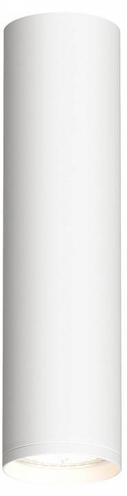 Накладной светильник Denkirs Tube DK2052-WH