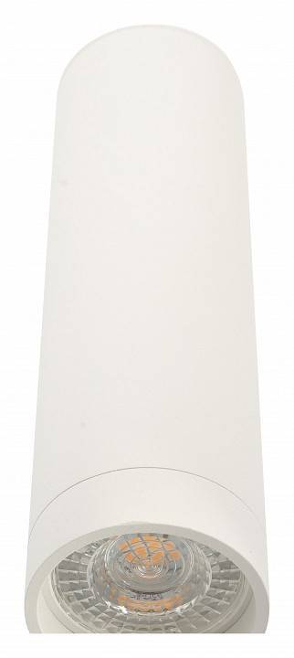 Накладной светильник Denkirs Tube DK2052-WH