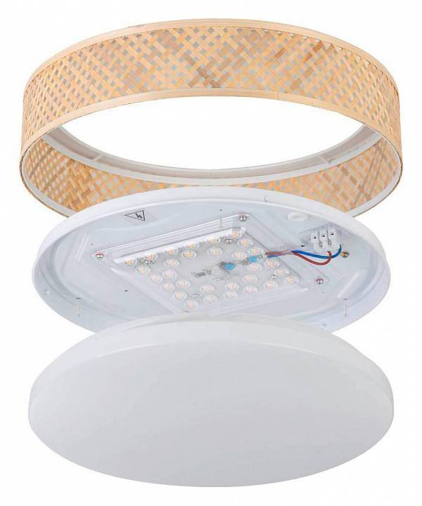 Накладной светильник Eglo Luppineria LED 900464