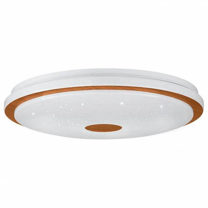 Накладной светильник Eglo Lanciano 1 LED 900599