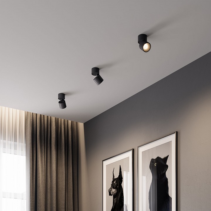 Накладной светильник Elektrostandard Rolly a067488