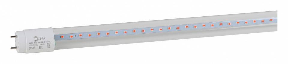 Лампа светодиодная Эра FITO T8 G13 9 Вт 1200 K FITO-9W-RB-Т8-G13-NL