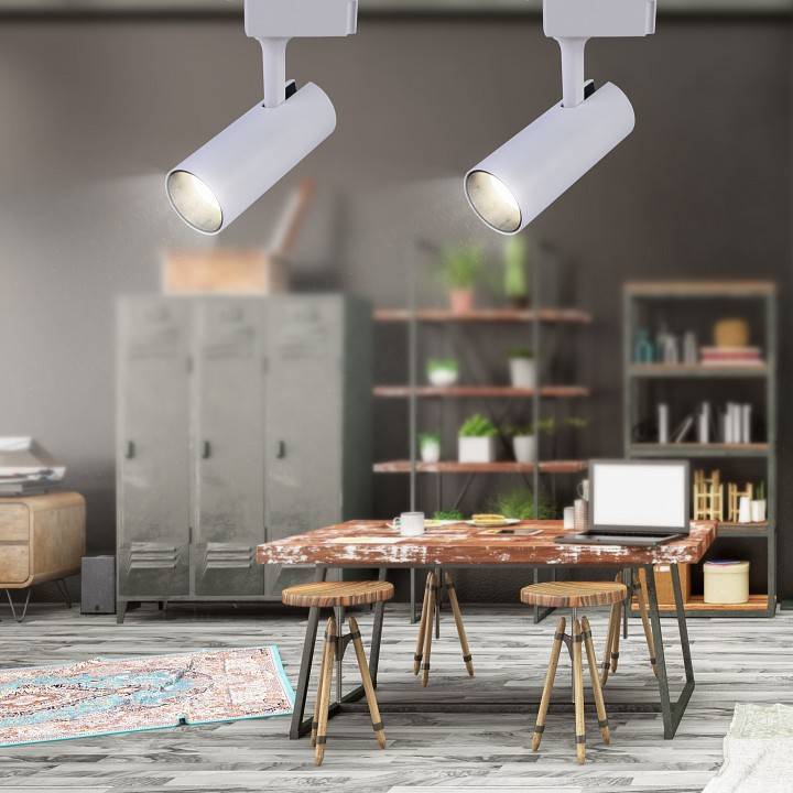 Светильник на штанге Эра  TR5-20 COB WH