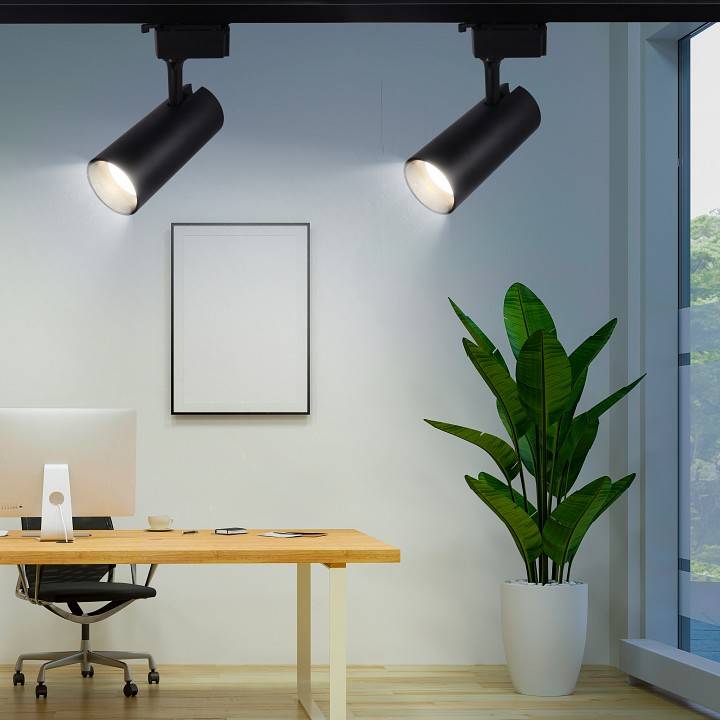 Светильник на штанге Эра  TR5-20 COB BK