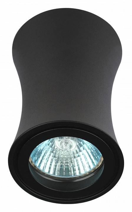Светильник накладной ЭРА OL19 черный Б0054387