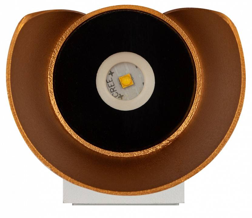 Светильник накладной ЭРА WL42 белый с золотом Б0054421