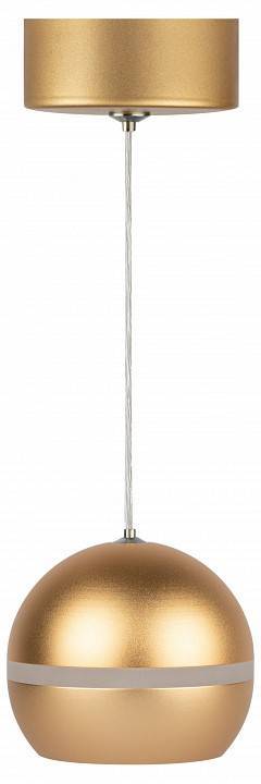 Подвесной светильник ЭРА PL21 GD Б0058506