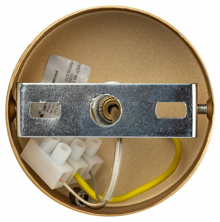 Подвесной светильник ЭРА PL21 GD Б0058506