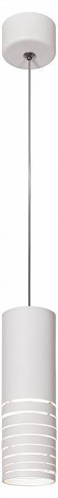 Подвесной светильник Эра PL22 WH Б0058507