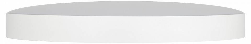 Накладной светильник Эра Relict Relict 48 Pult SPB-6-60-RC WH