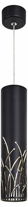 Подвесной светильник ЭРА PL25 BK Б0061364