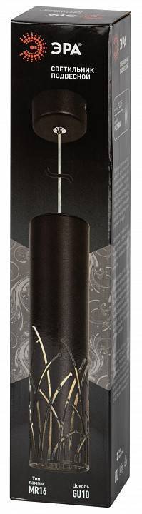Подвесной светильник ЭРА PL25 BK Б0061364