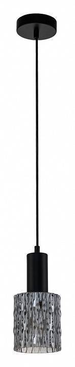 Подвесной светильник Escada Rain 10189/1S Black